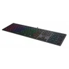 Клавиатура A4Tech Fstyler FX60 серый USB slim LED (FX60 GREY / NEON)
